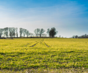 ¿Conviene comprar un terreno?