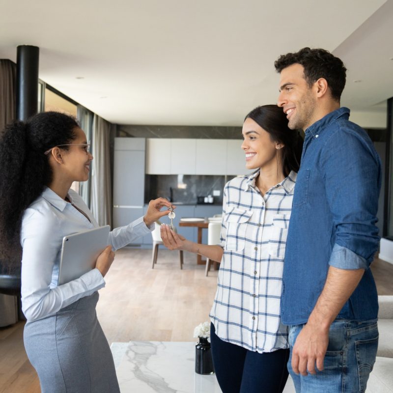 house flipping