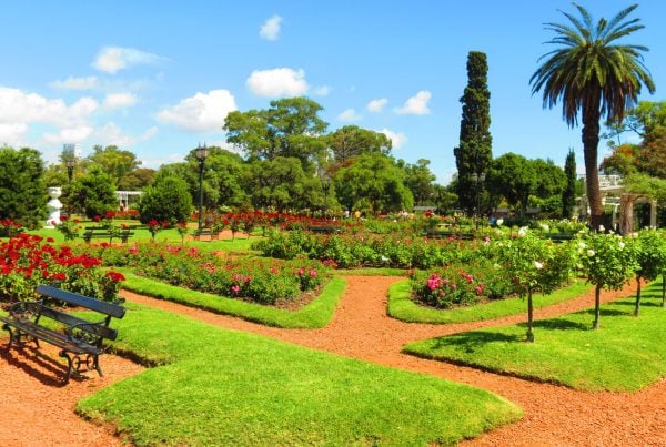 parques zona sur